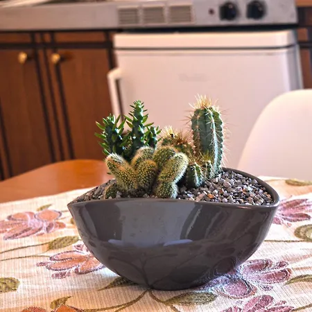 Thalassini Avra Apartment